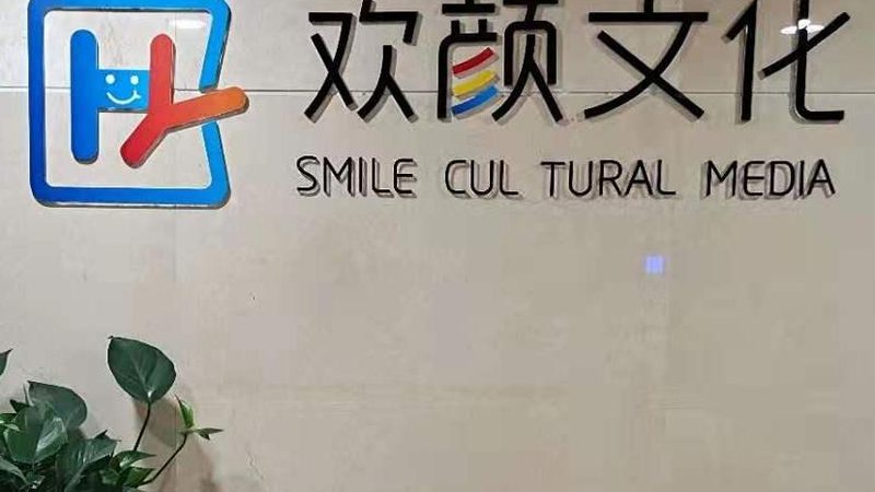 纪录片拍摄方案：如何构建一份成功的策划书